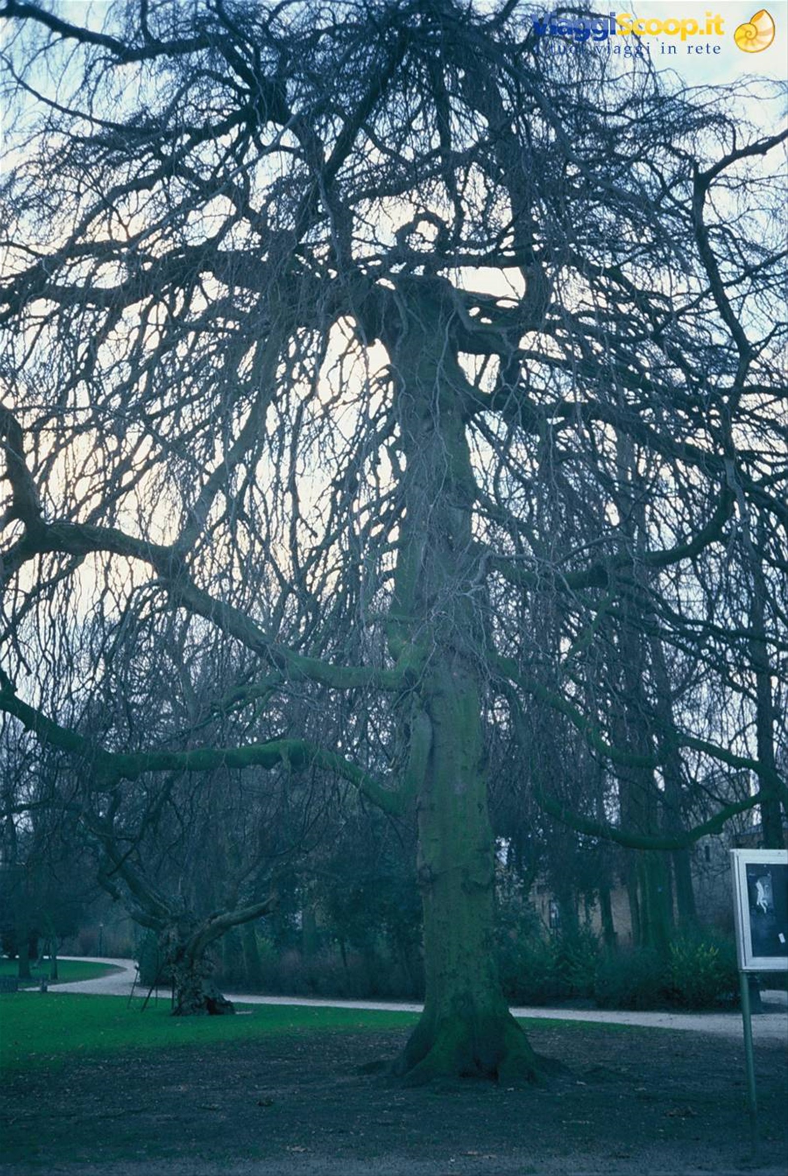 Foto di viaggio in BELGIO
