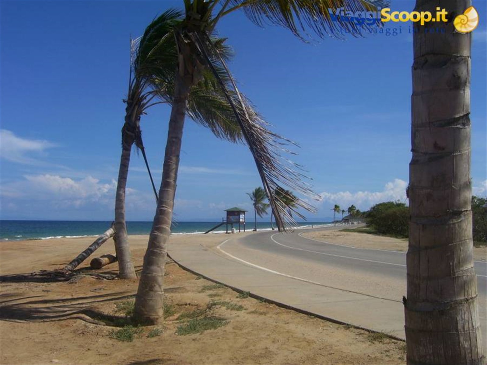 Foto di viaggio in VENEZUELA