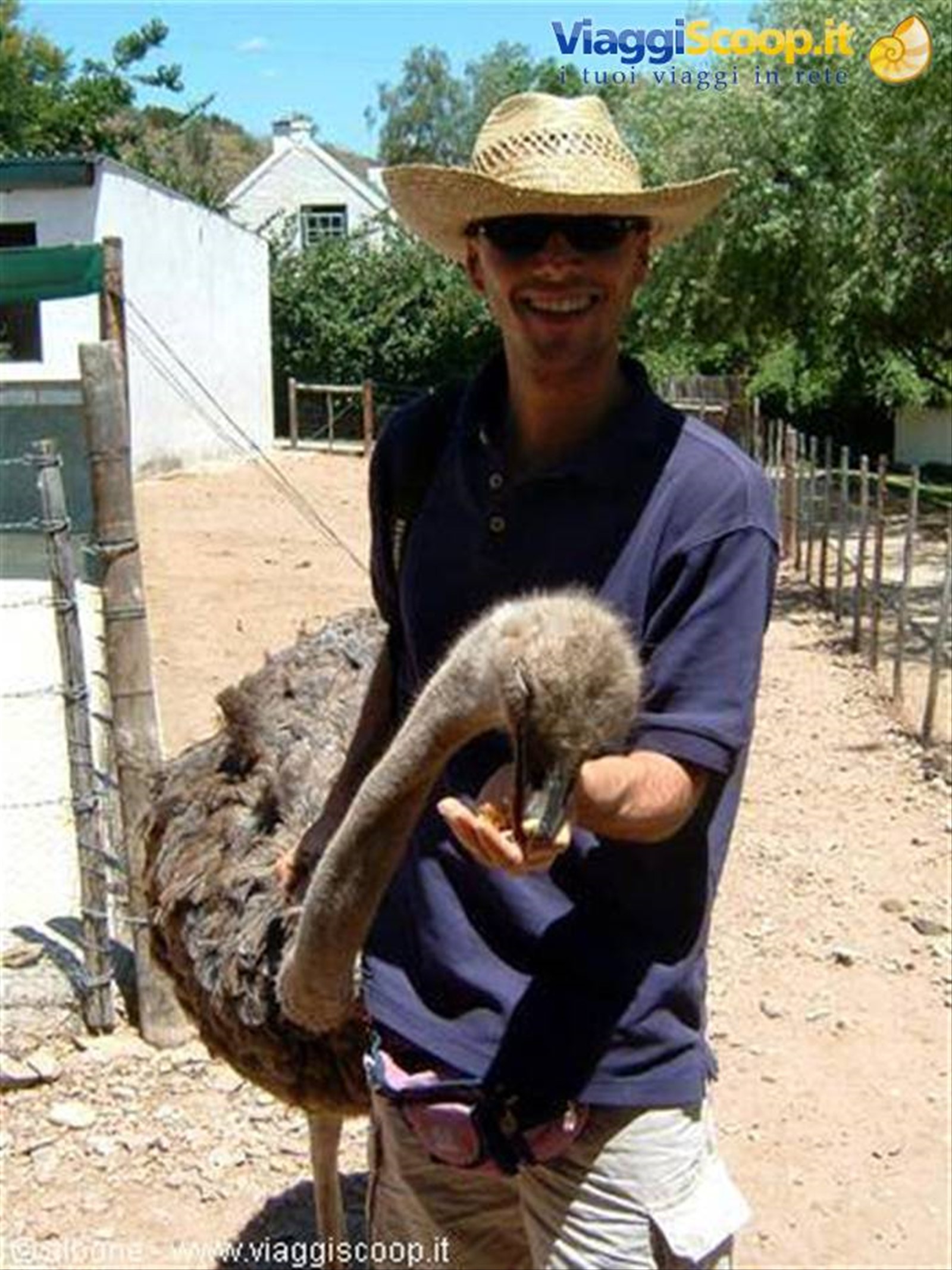 3.3 Oudtshoorn - CangoOstrichFarm (Struzzo)