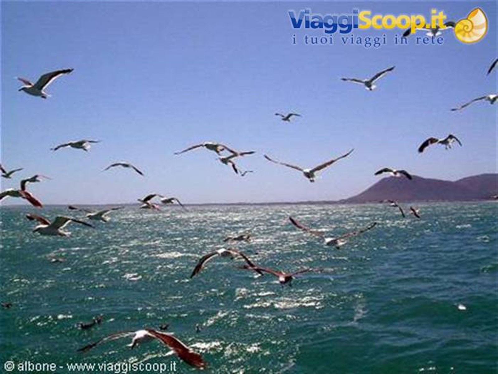 Foto di viaggio in SUD AFRICA