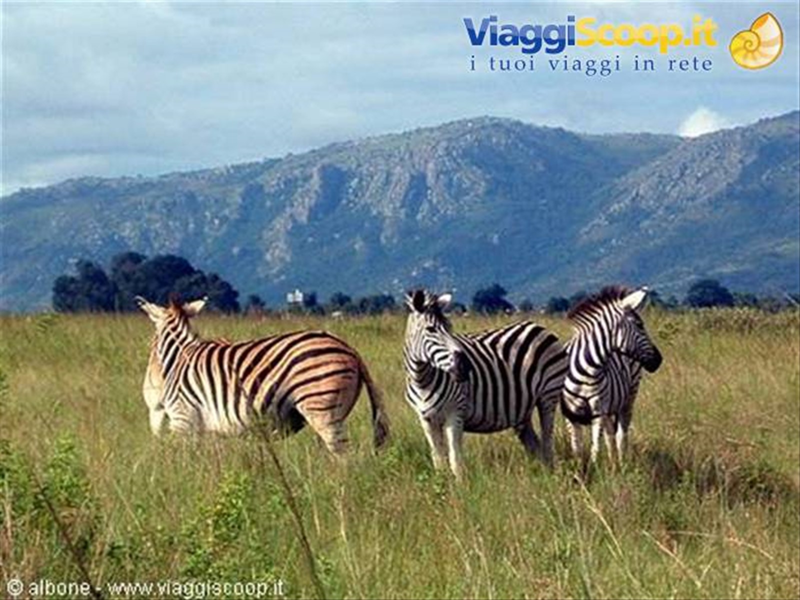 Milwane Wildlife Sanctuary Nature Reserve (Zebre)