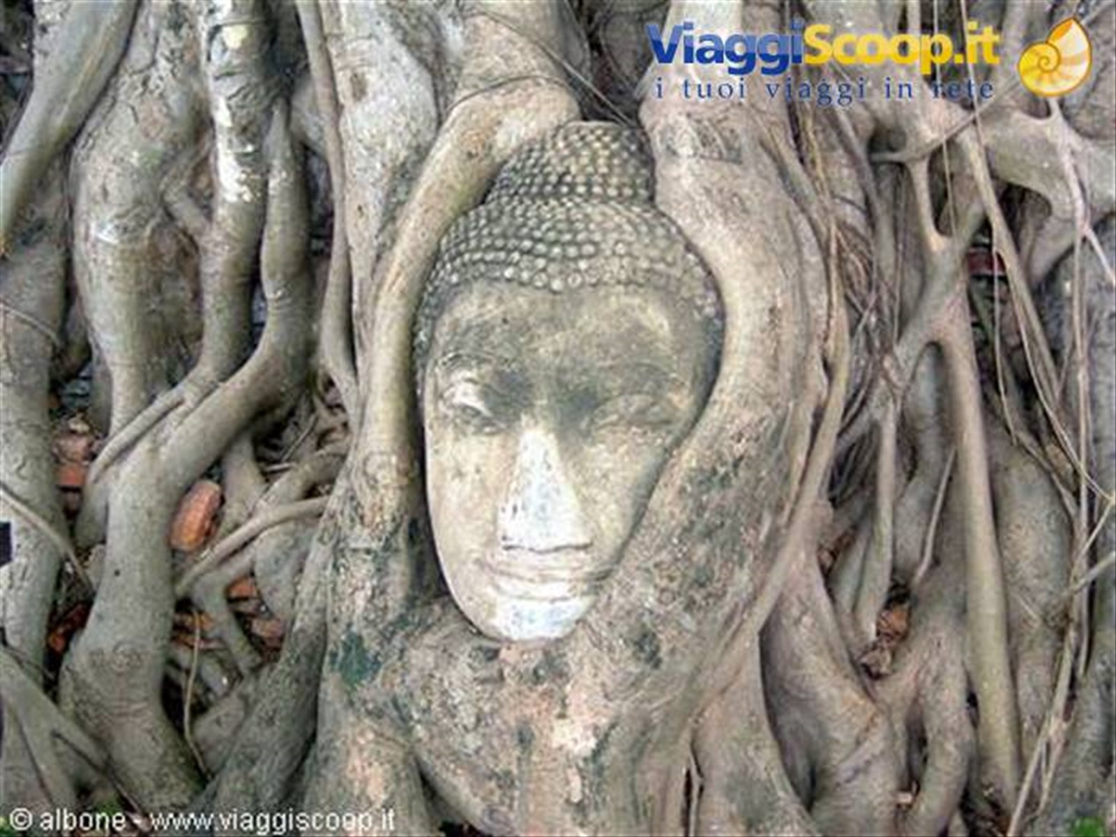 Ayuthaya - Parco Storico - Wat Phra Mahathat