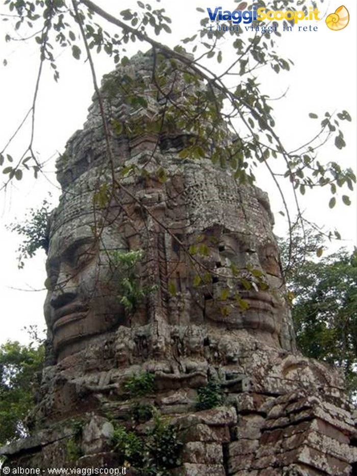 Angkor - Ta Prohm