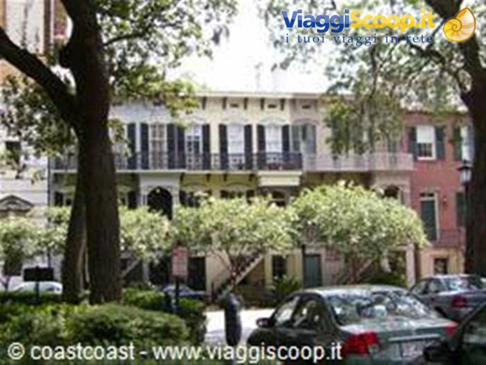 Savannah