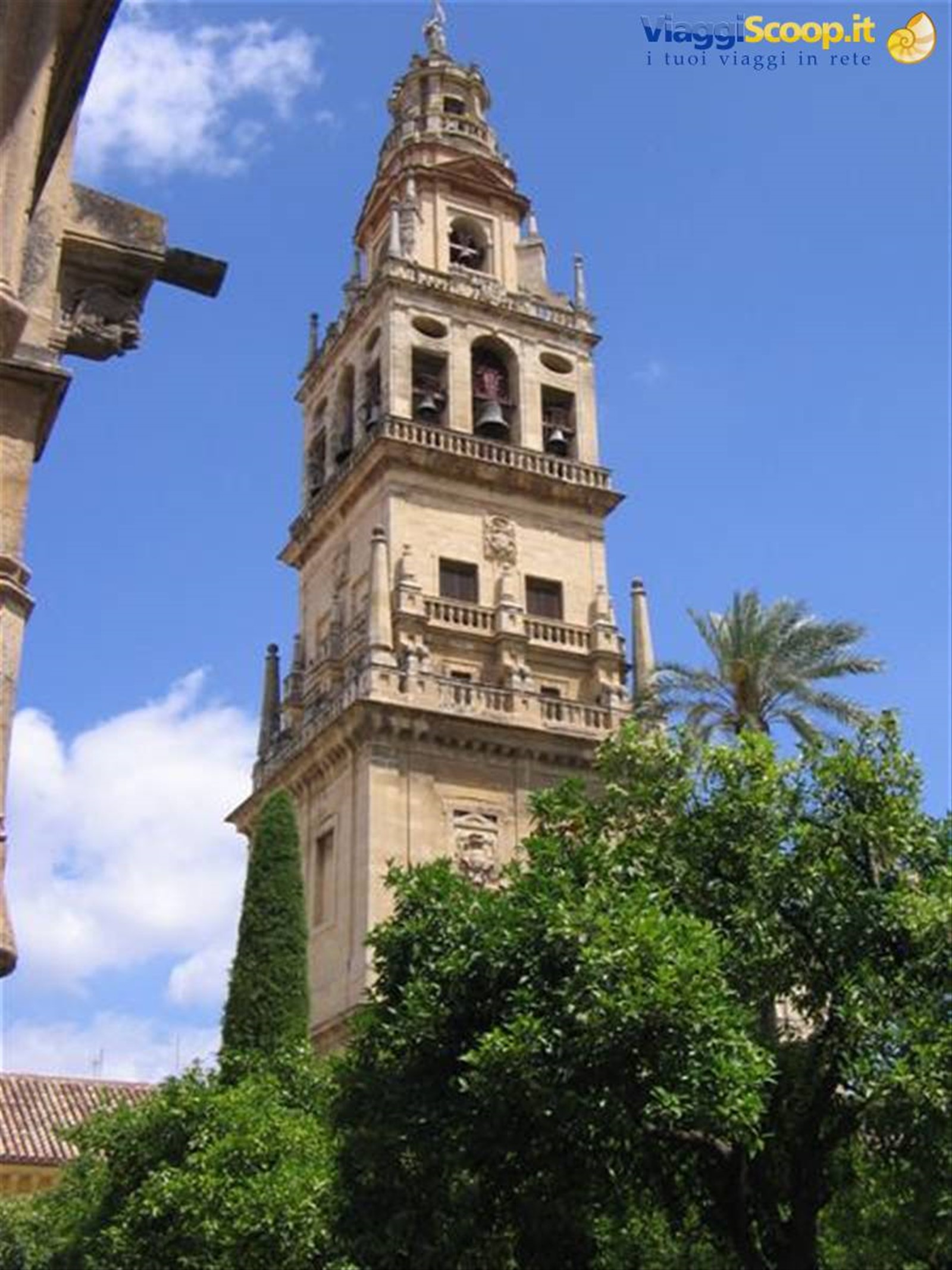 Cordoba - il Cabildo