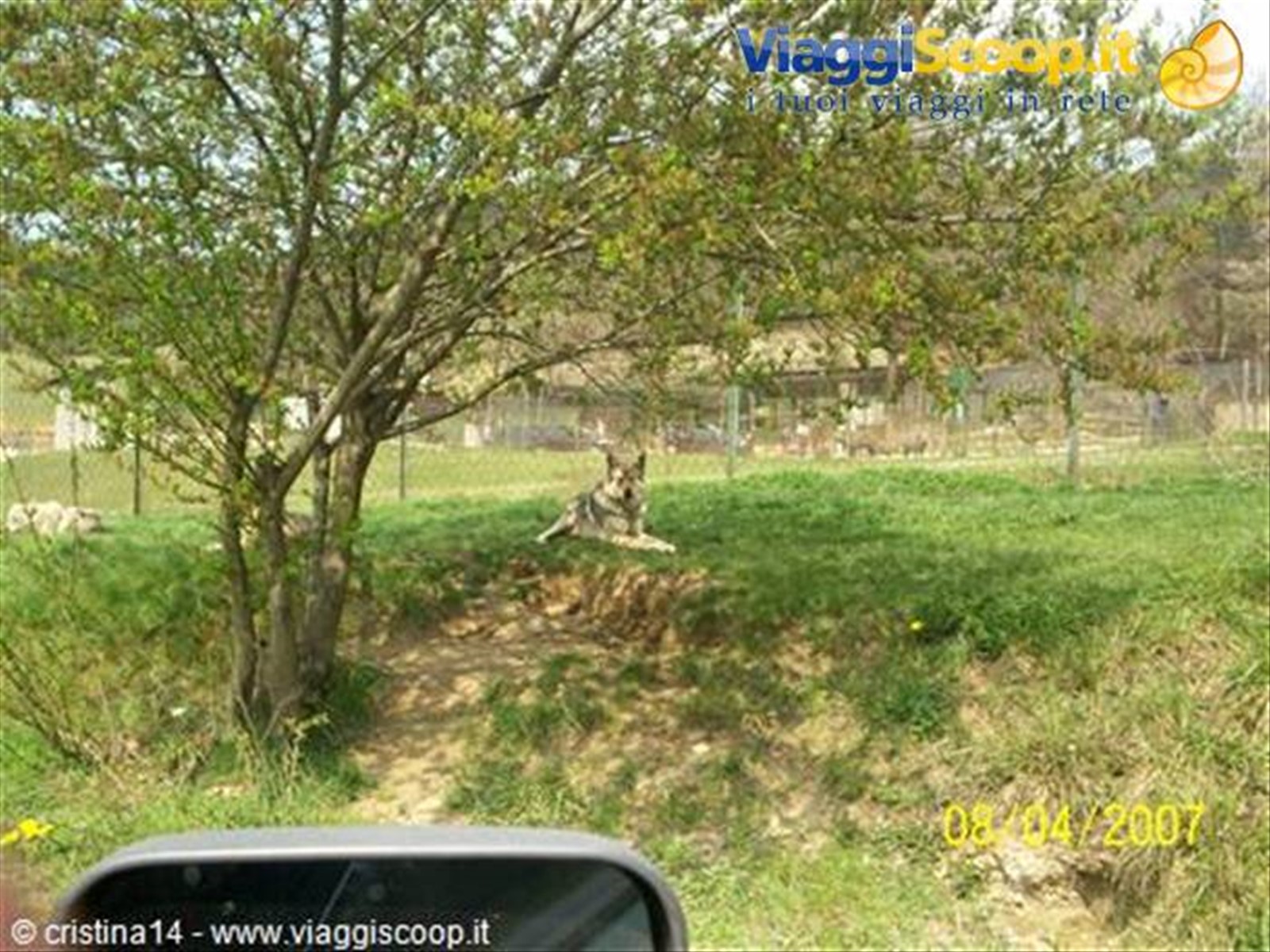 Il signor Lupo