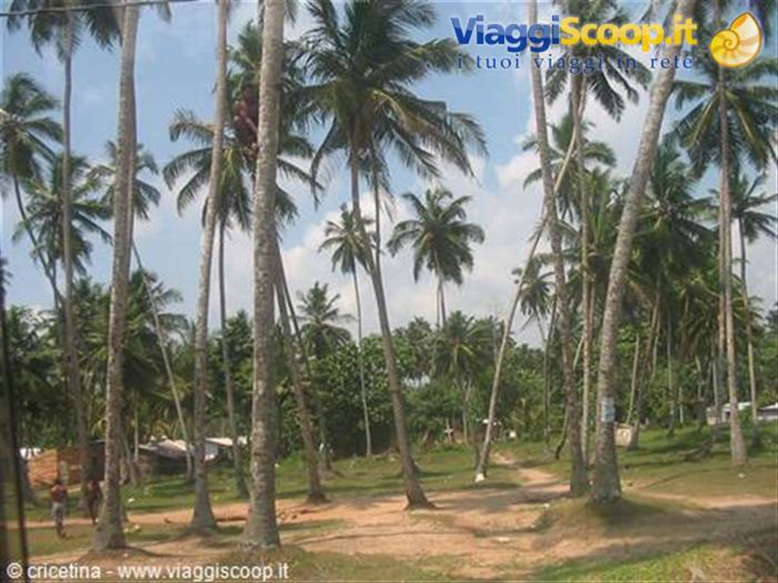 Foto di viaggio in SRI LANKA