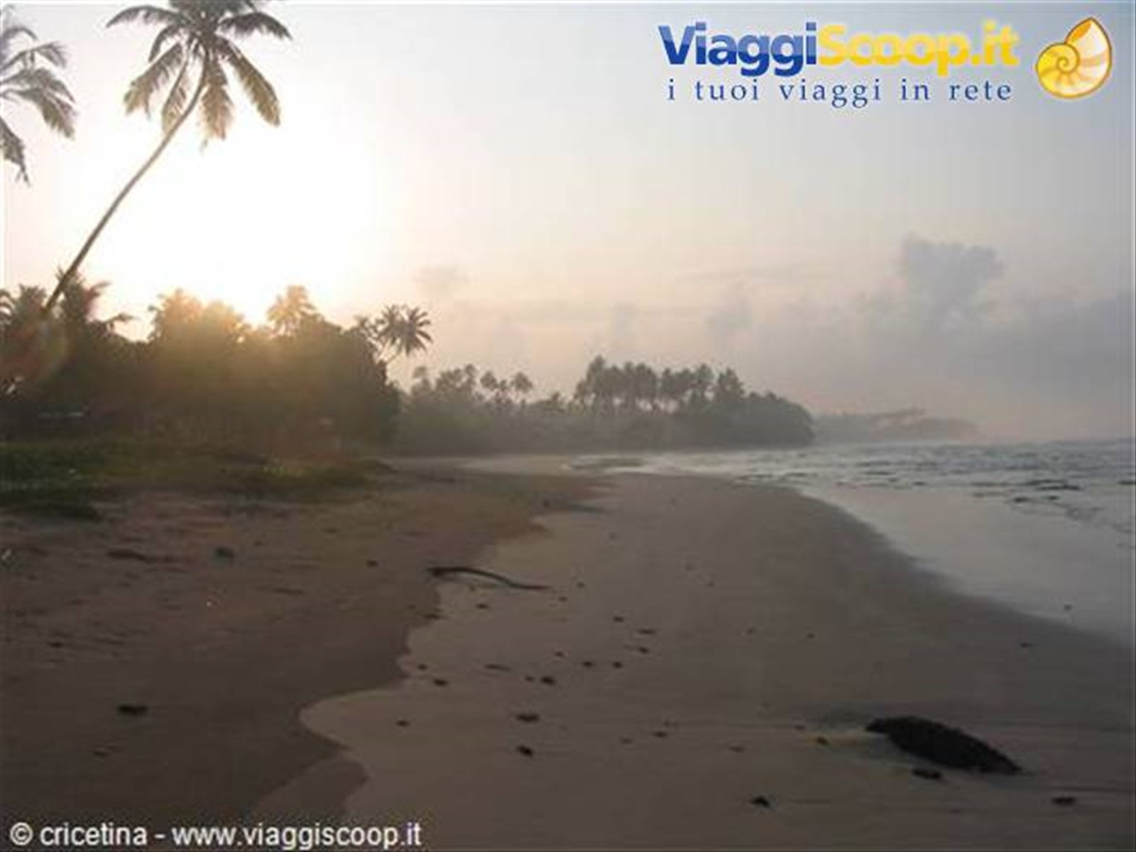 Foto di viaggio in SRI LANKA