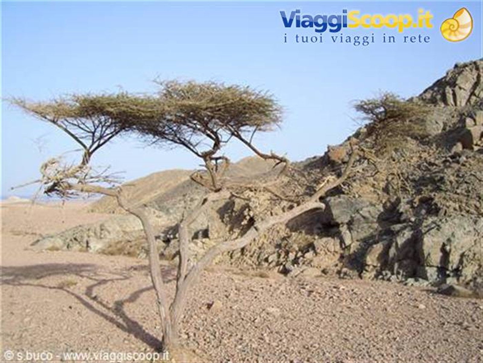 deserto!