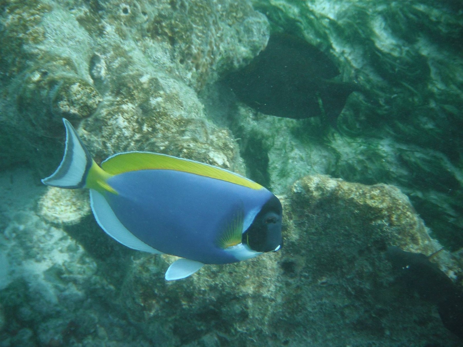 Foto di viaggio in MALDIVE
