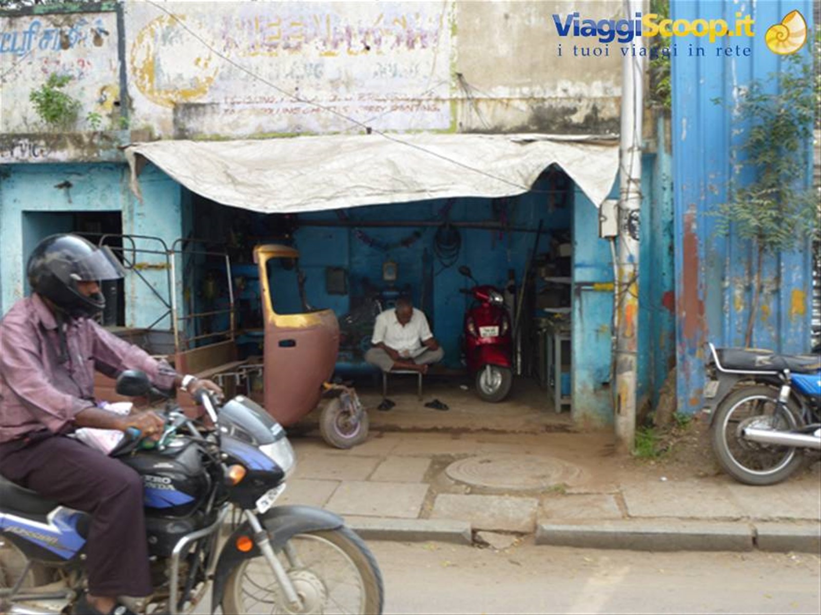 Foto di viaggio in INDIA