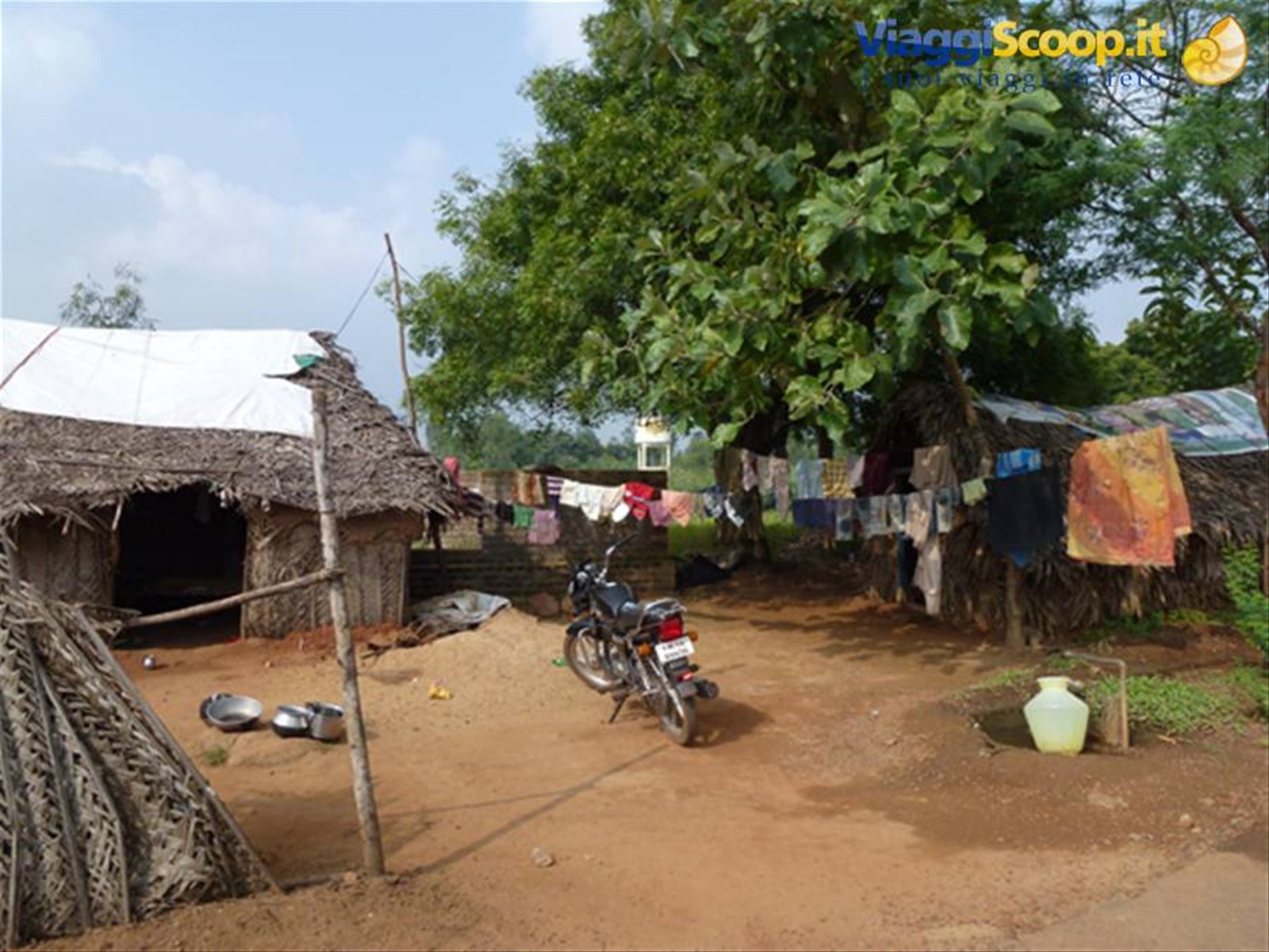 Foto di viaggio in INDIA