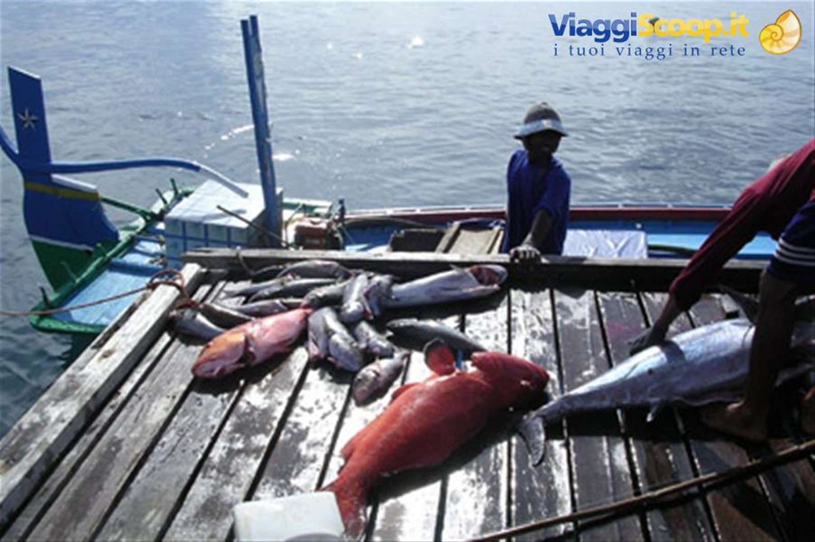 Pescatori al rientro