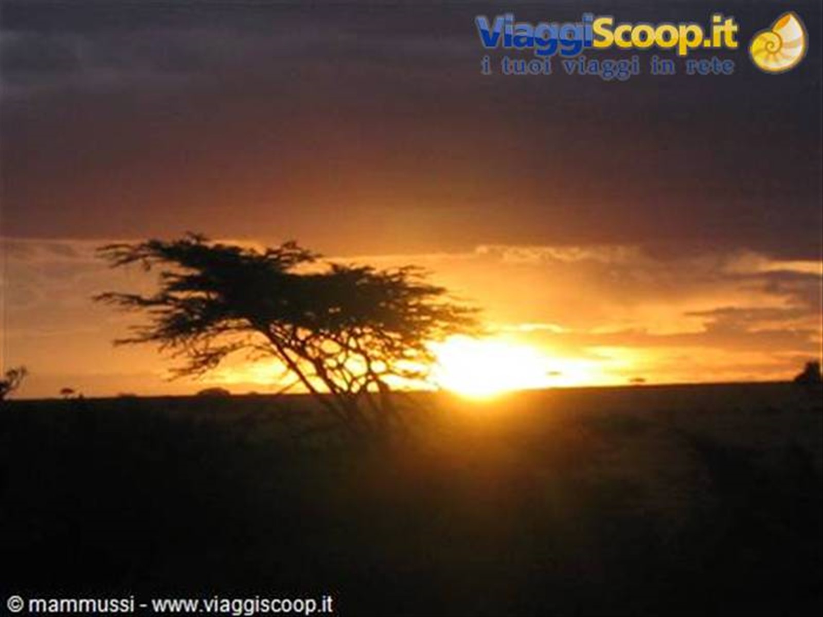 Foto di viaggio in KENYA