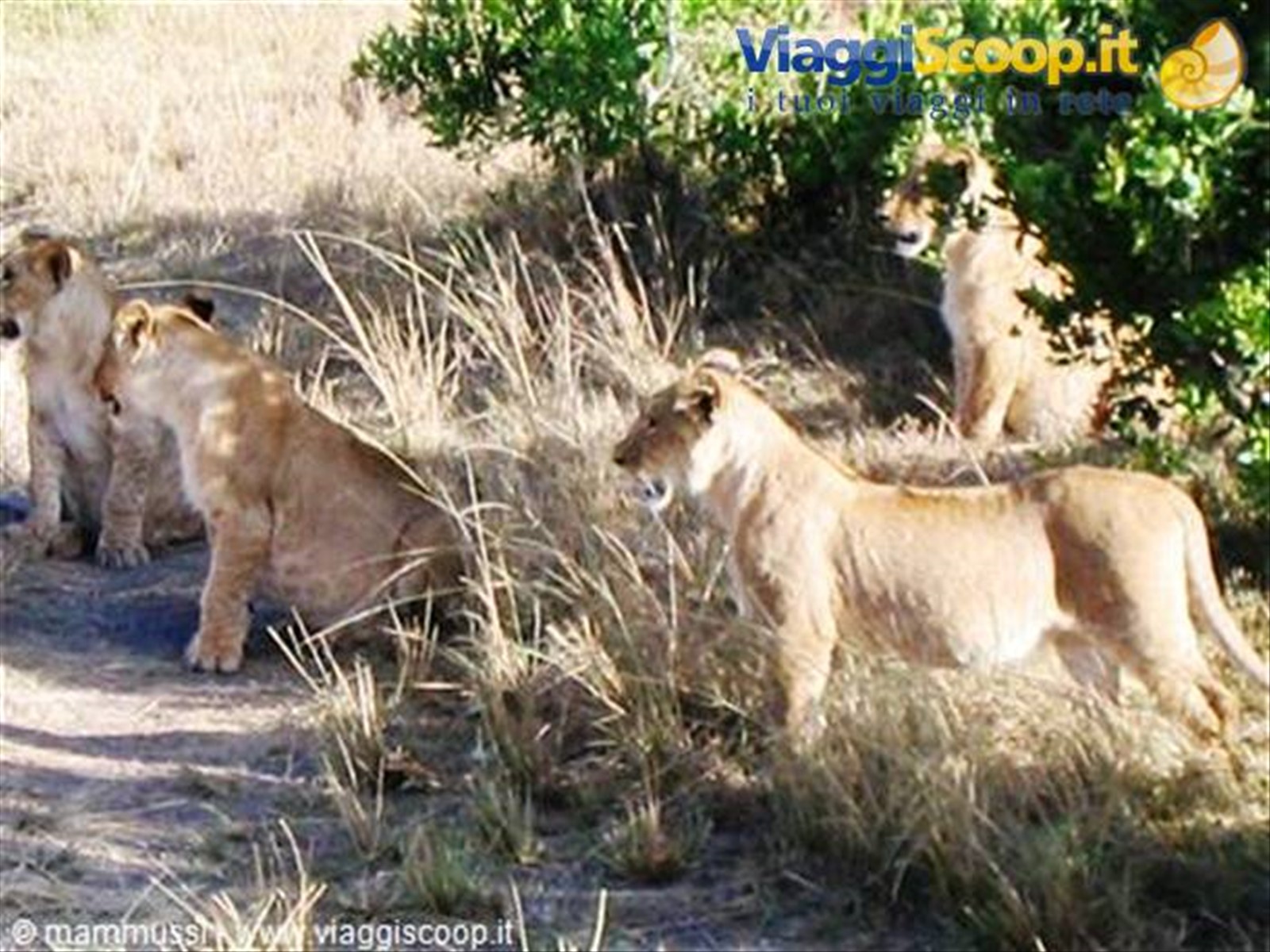 Foto di viaggio in KENYA