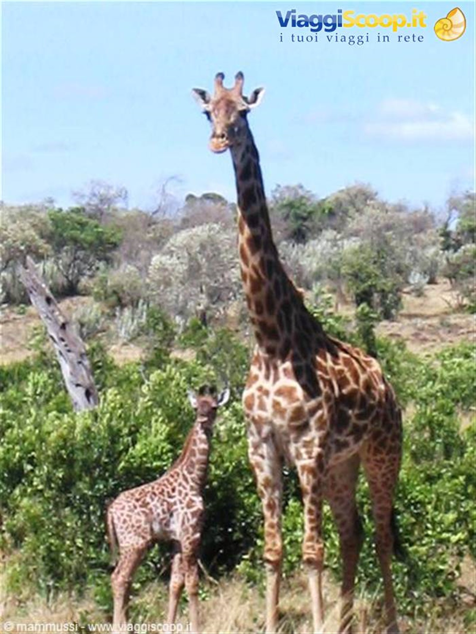 Foto di viaggio in KENYA