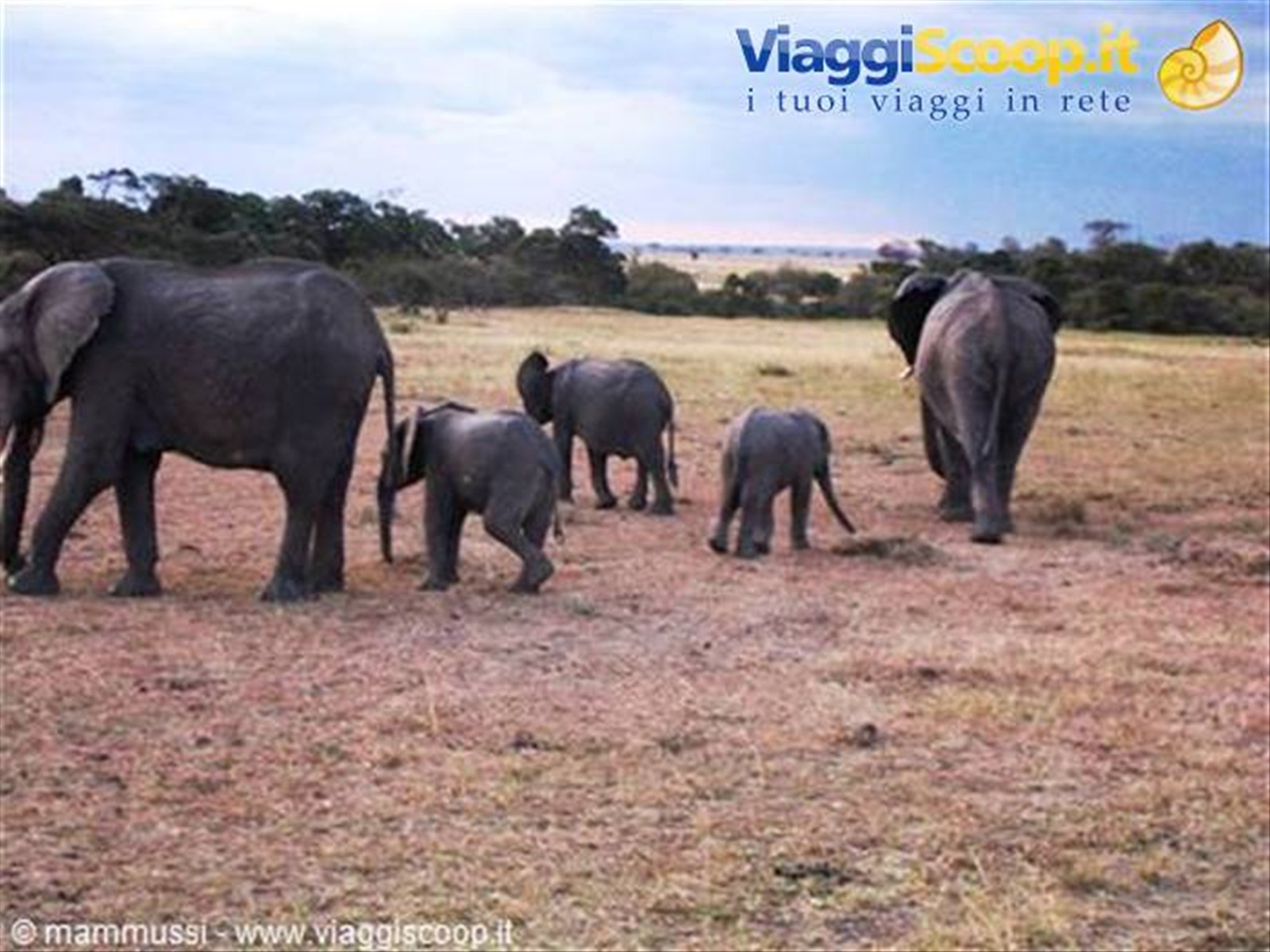 Foto di viaggio in KENYA