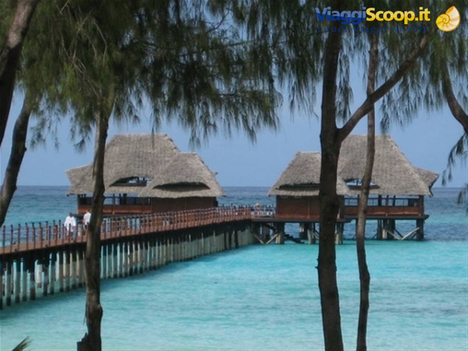 Zanzibar - Il pontile al Dongwe Village