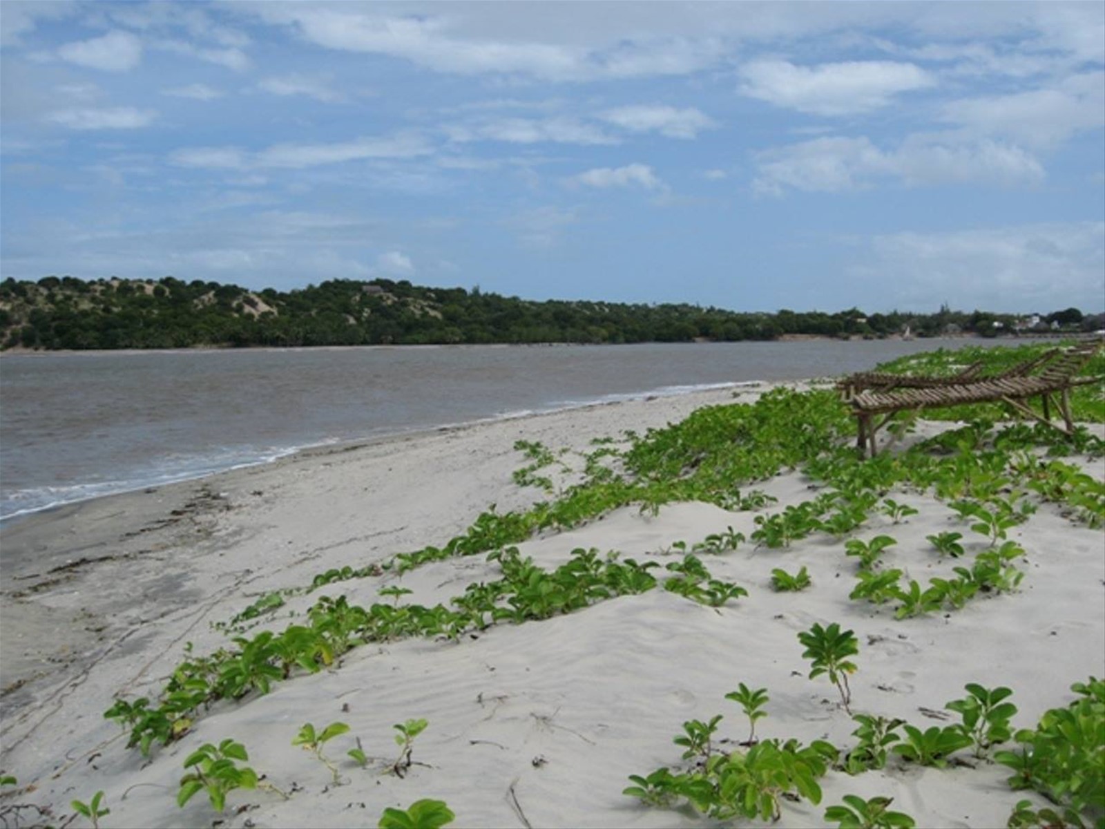 Isole delle conchiglie