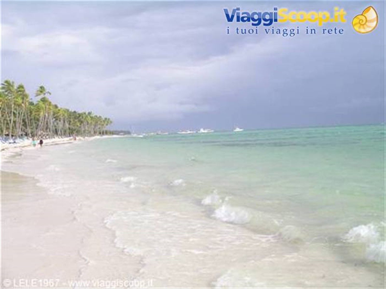 la meravigliosa spiaggia del barcelò bavaro beach