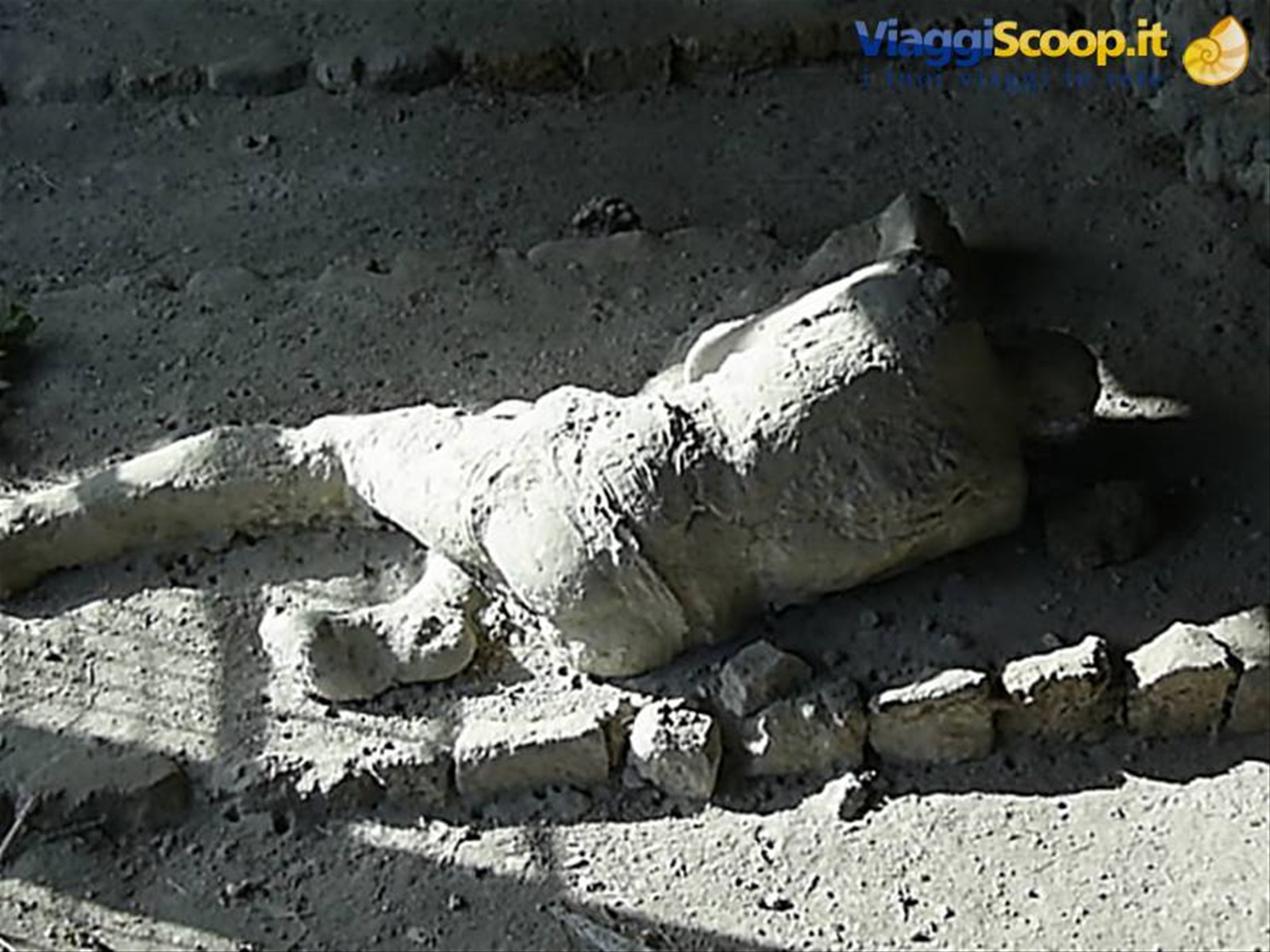 pompei, calco
