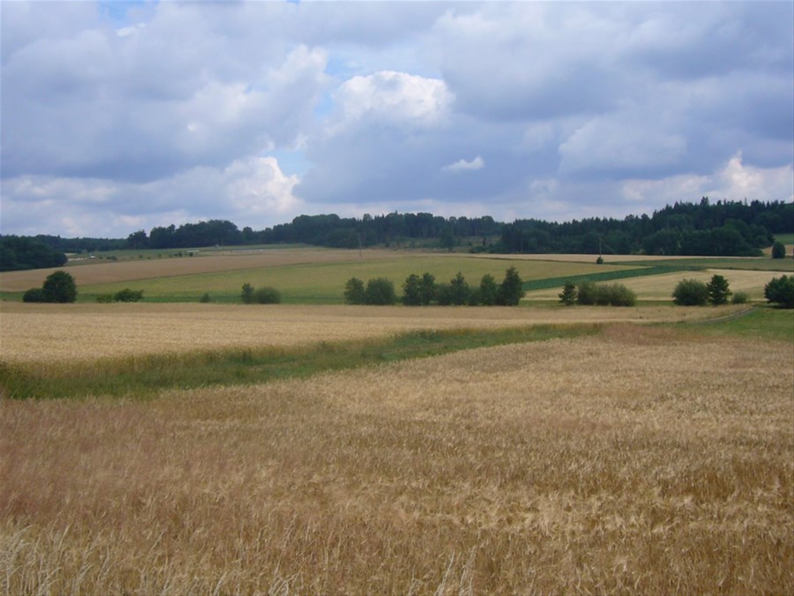 PAESAGGIO VERSO LAUTERBACH