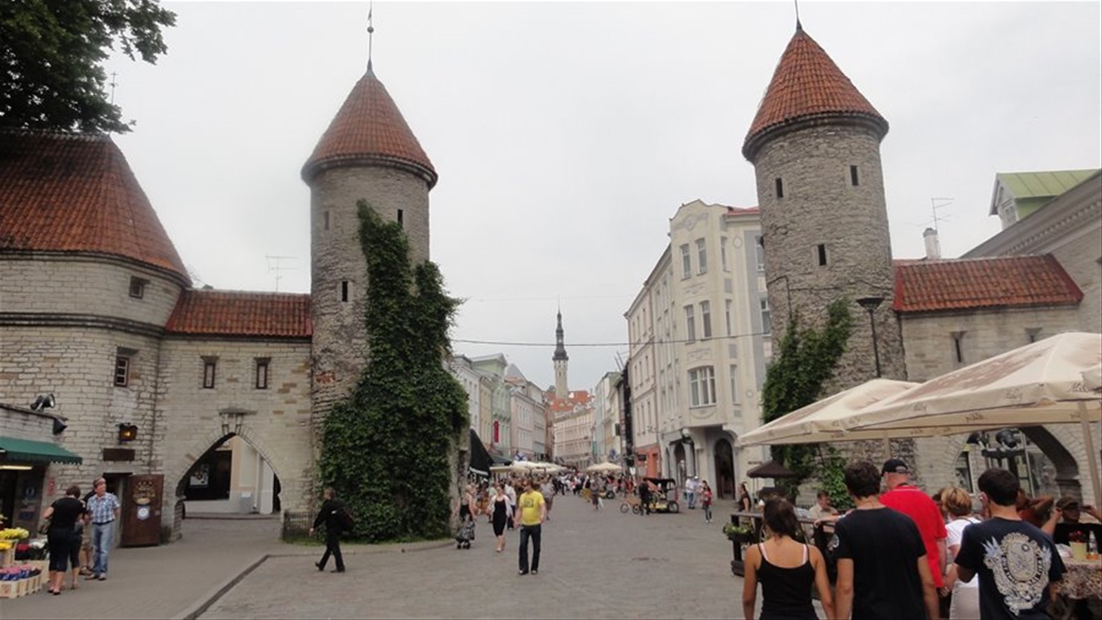 Foto di viaggio in ESTONIA