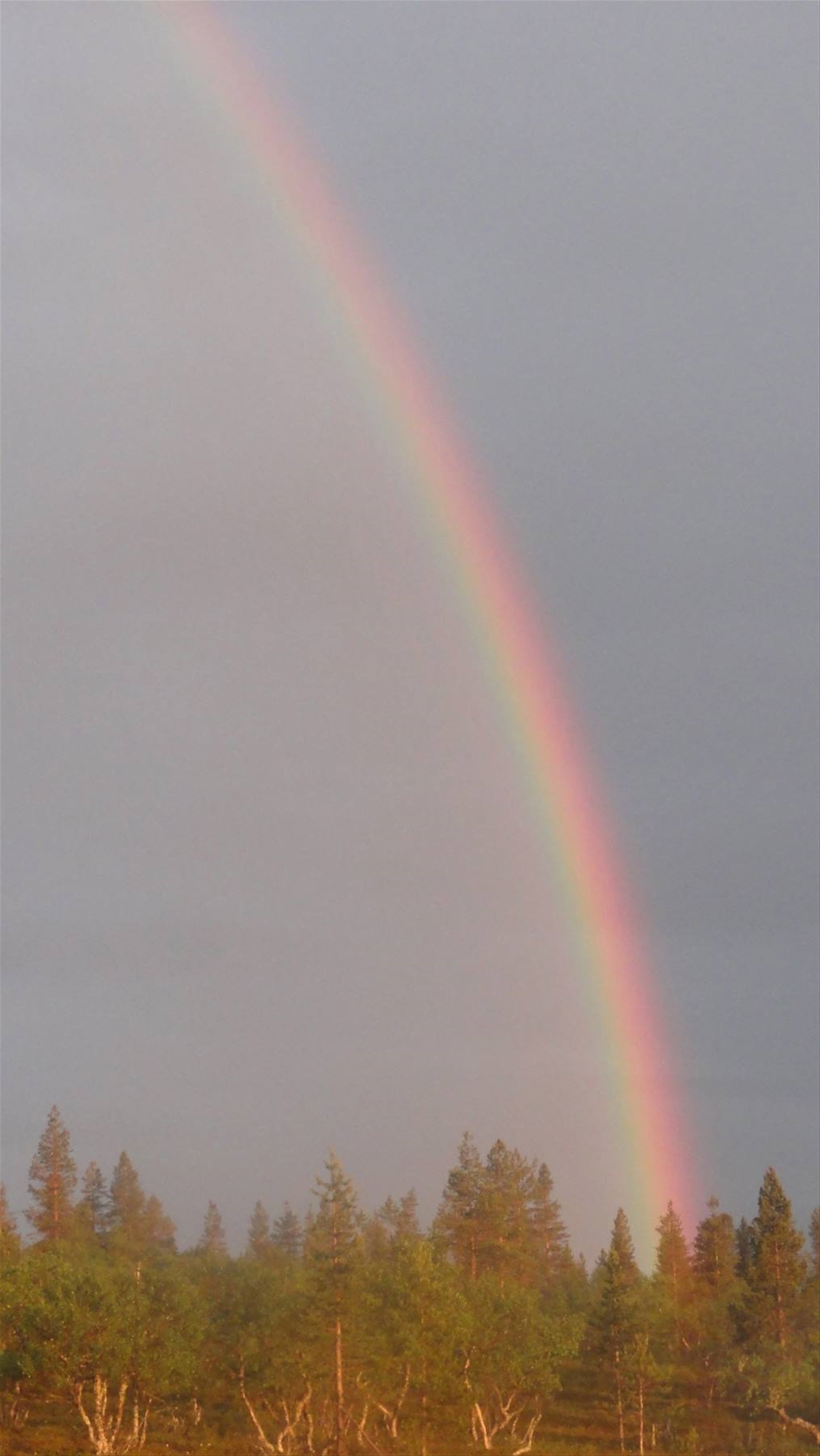 ARCOBALENO DI MEZZANOTTE