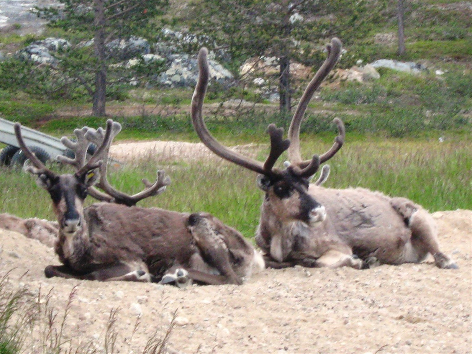 Foto di viaggio in FINLANDIA