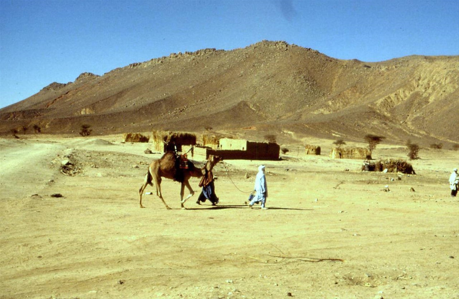 TAHIFET