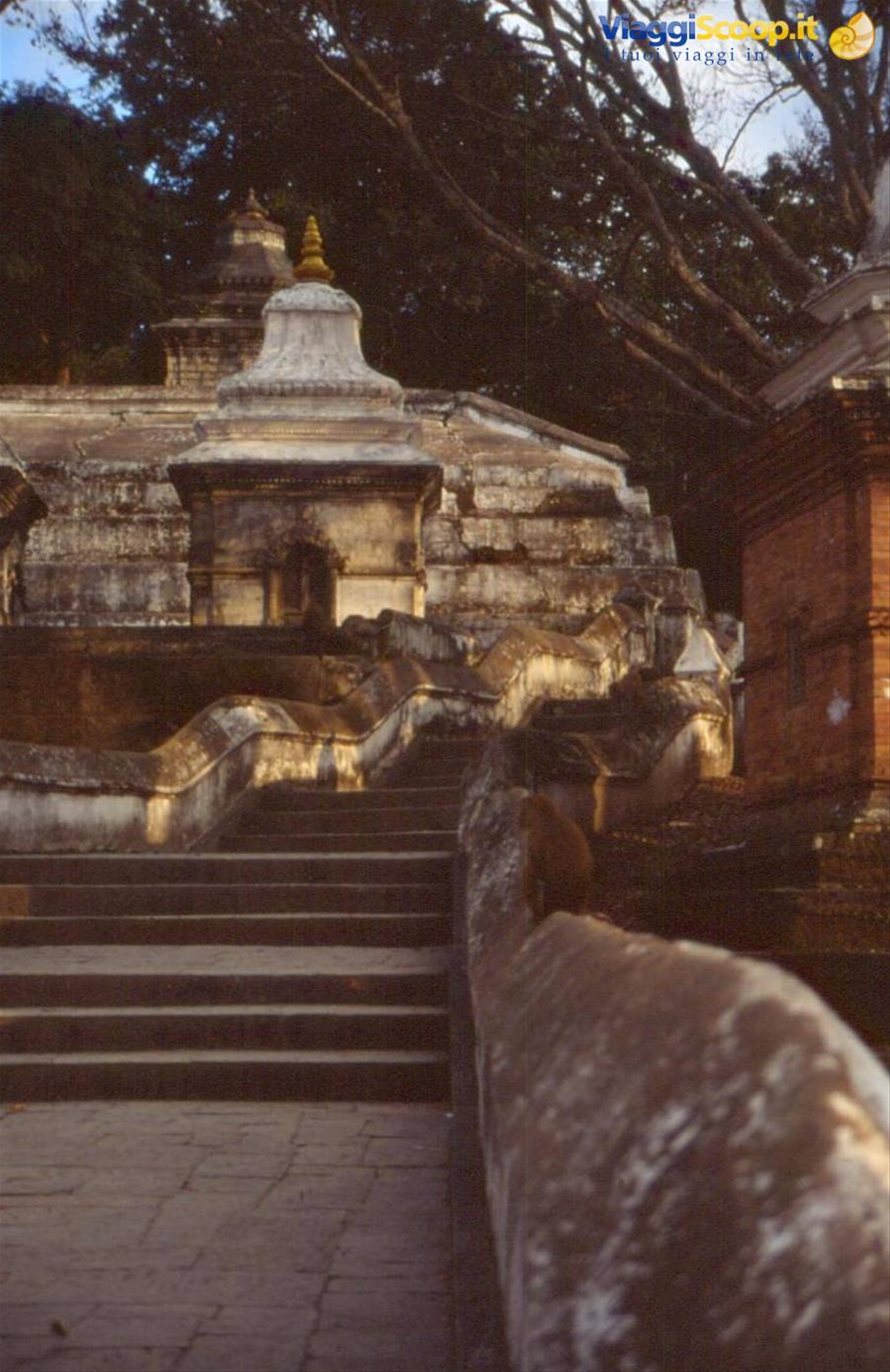 PASHUPATINATH