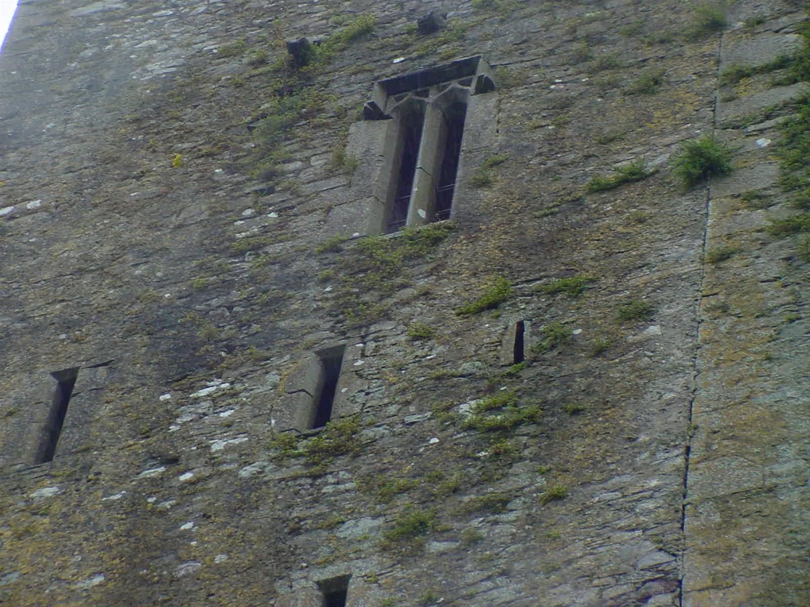CORK