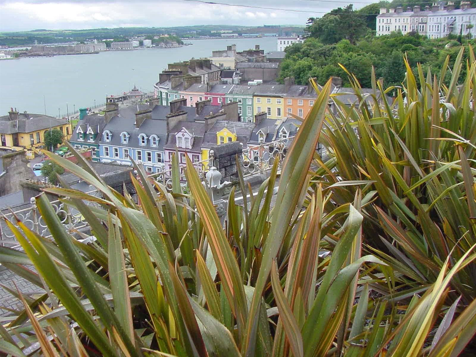 COBH