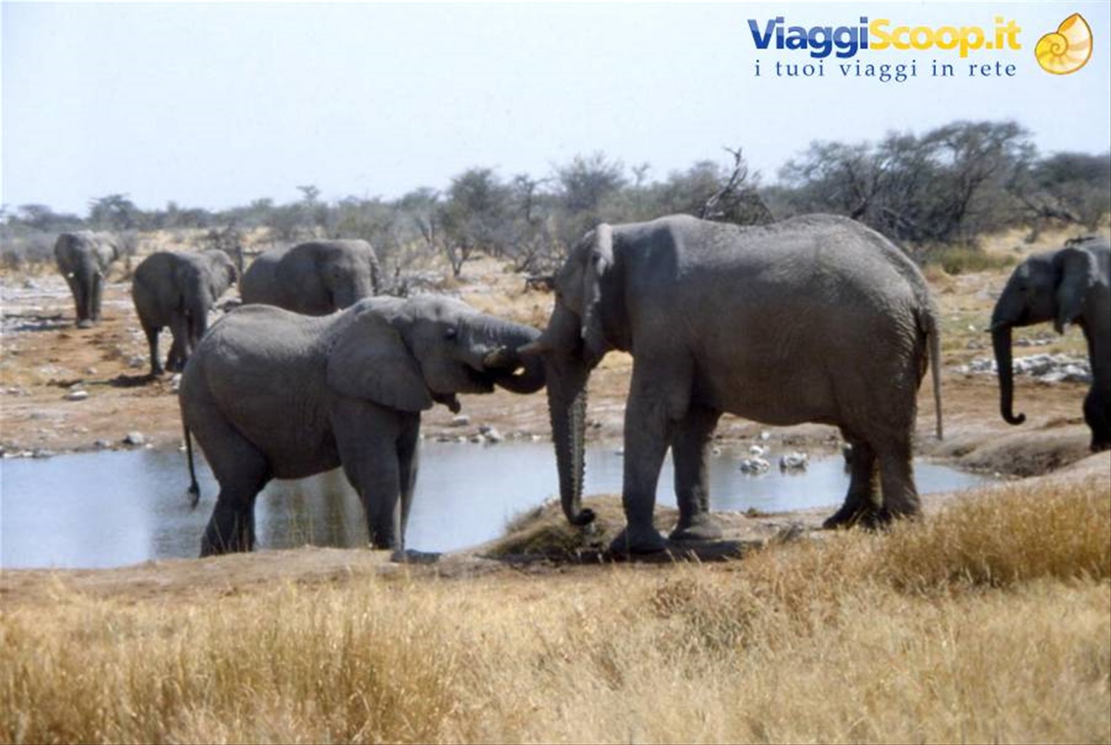 ETOSHA