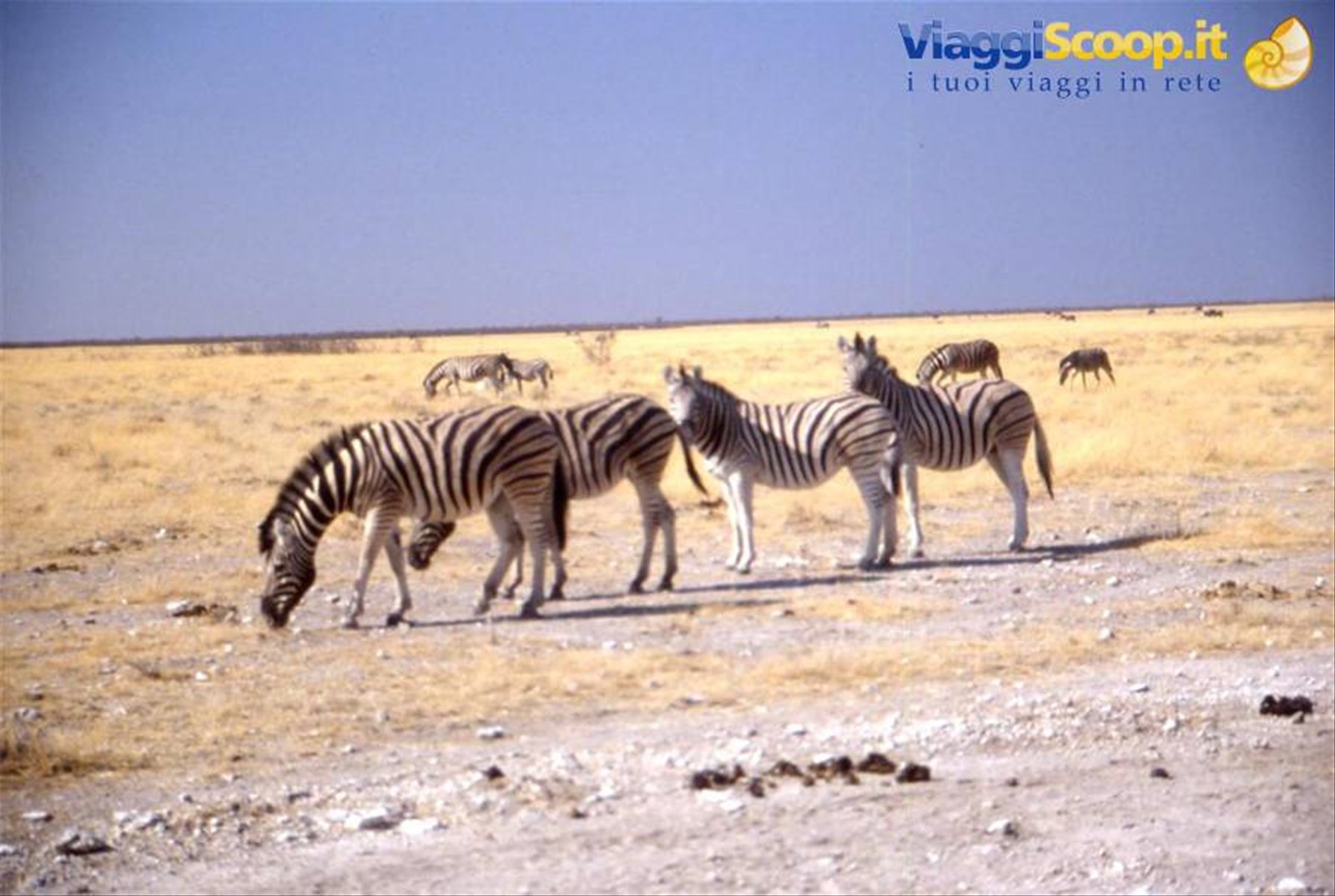 ETOSHA