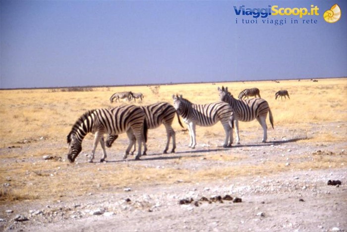 ETOSHA