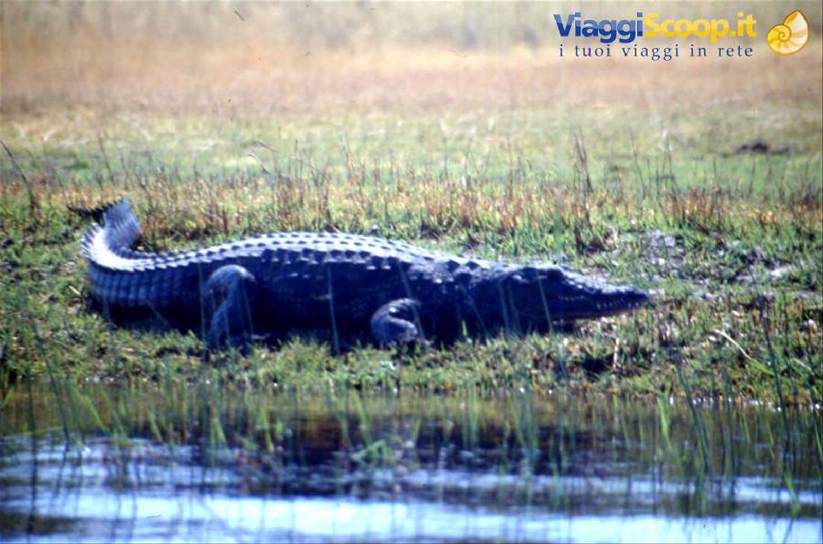 DELTA DELL'OKAVANGO