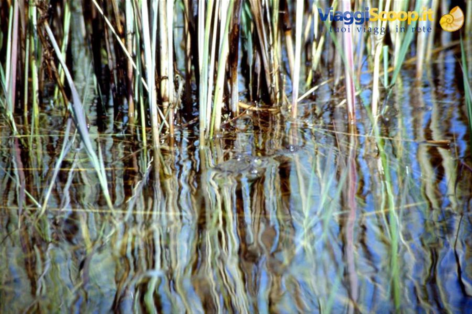 DELTA DELL'OKAVANGO