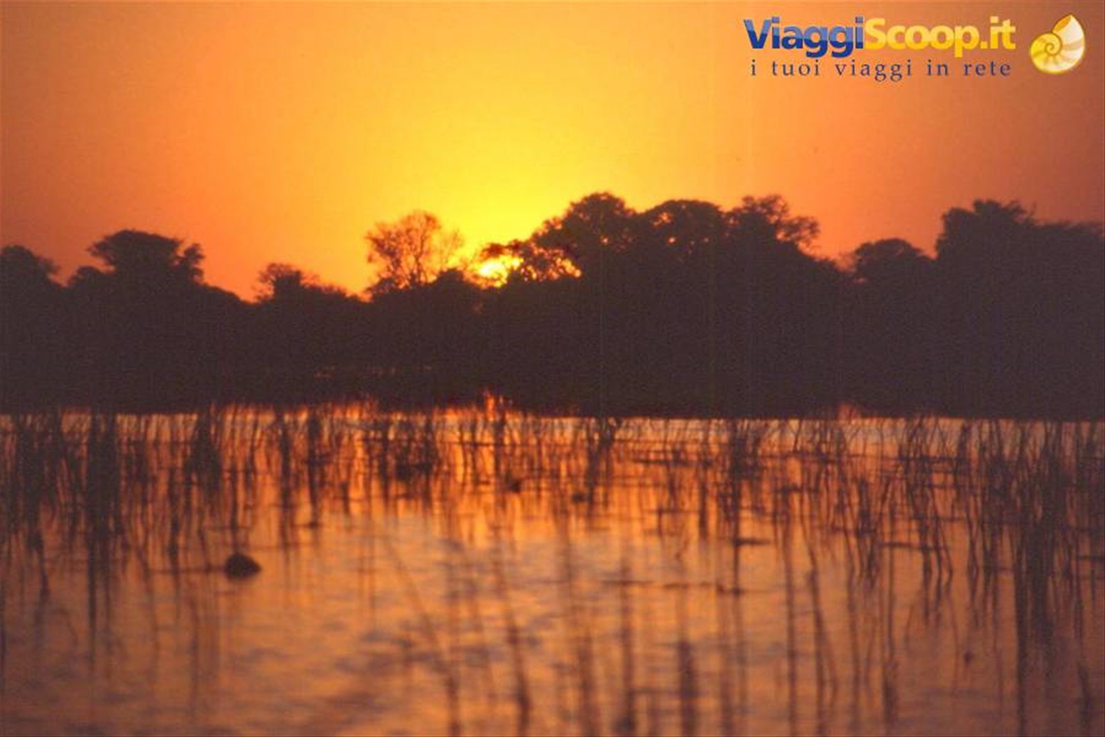 DELTA DELL'OKAVANGO