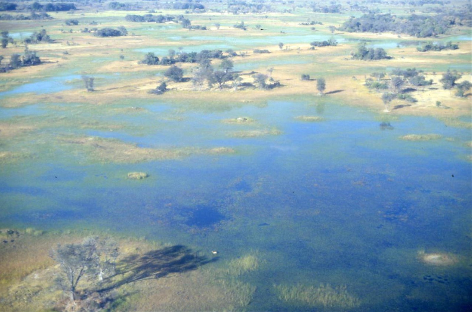 DELTA DELLOKAVANGO