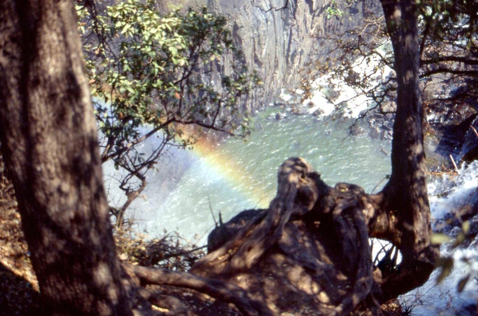 Foto di viaggio in ZAMBIA