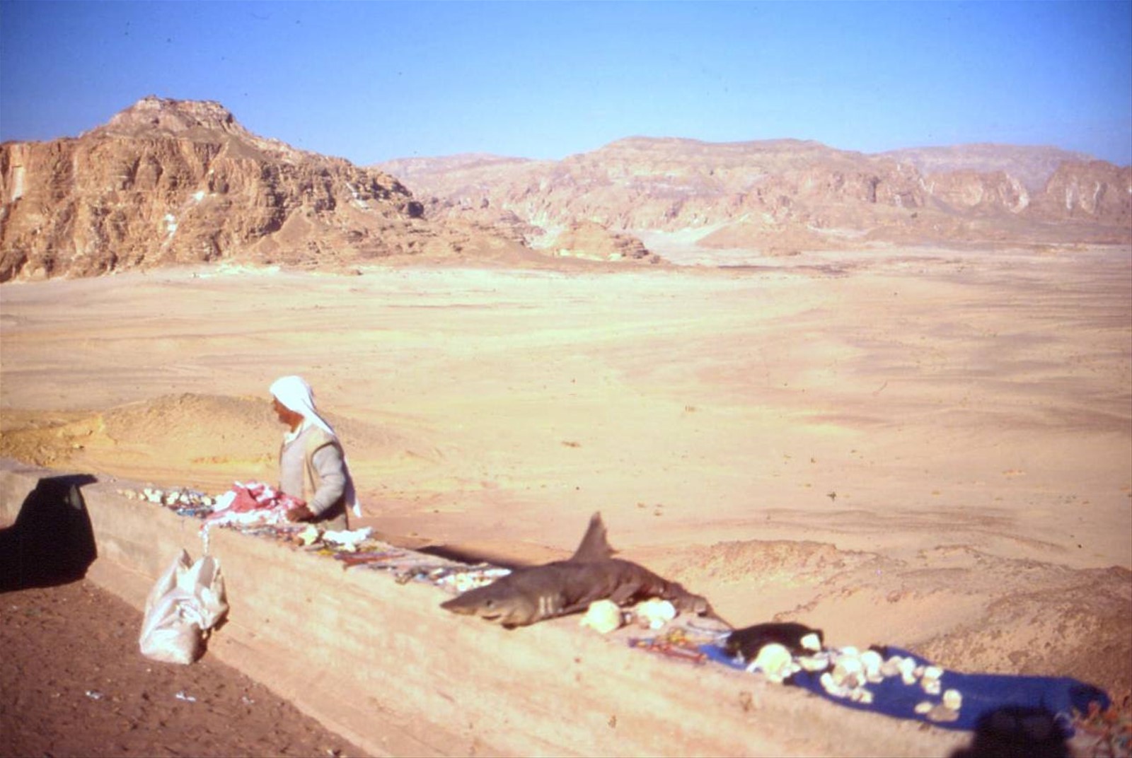 SINAI - VALLE DEI CERBIATTI