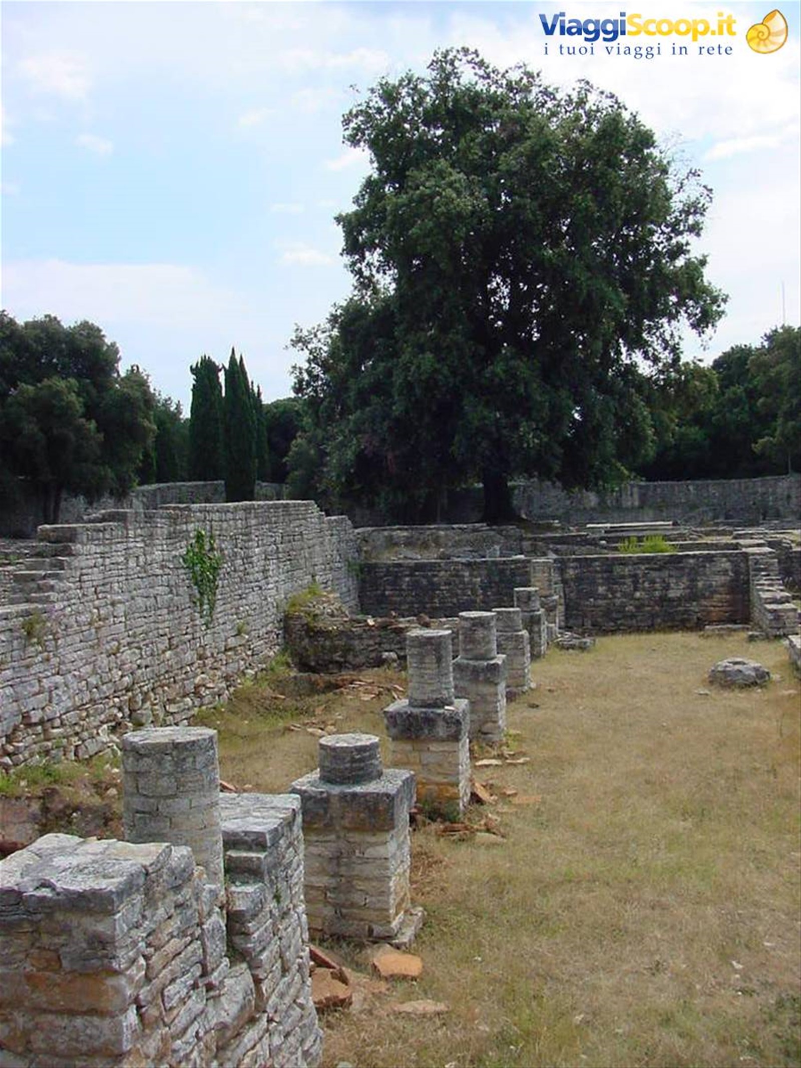 ISOLA DI BRONI