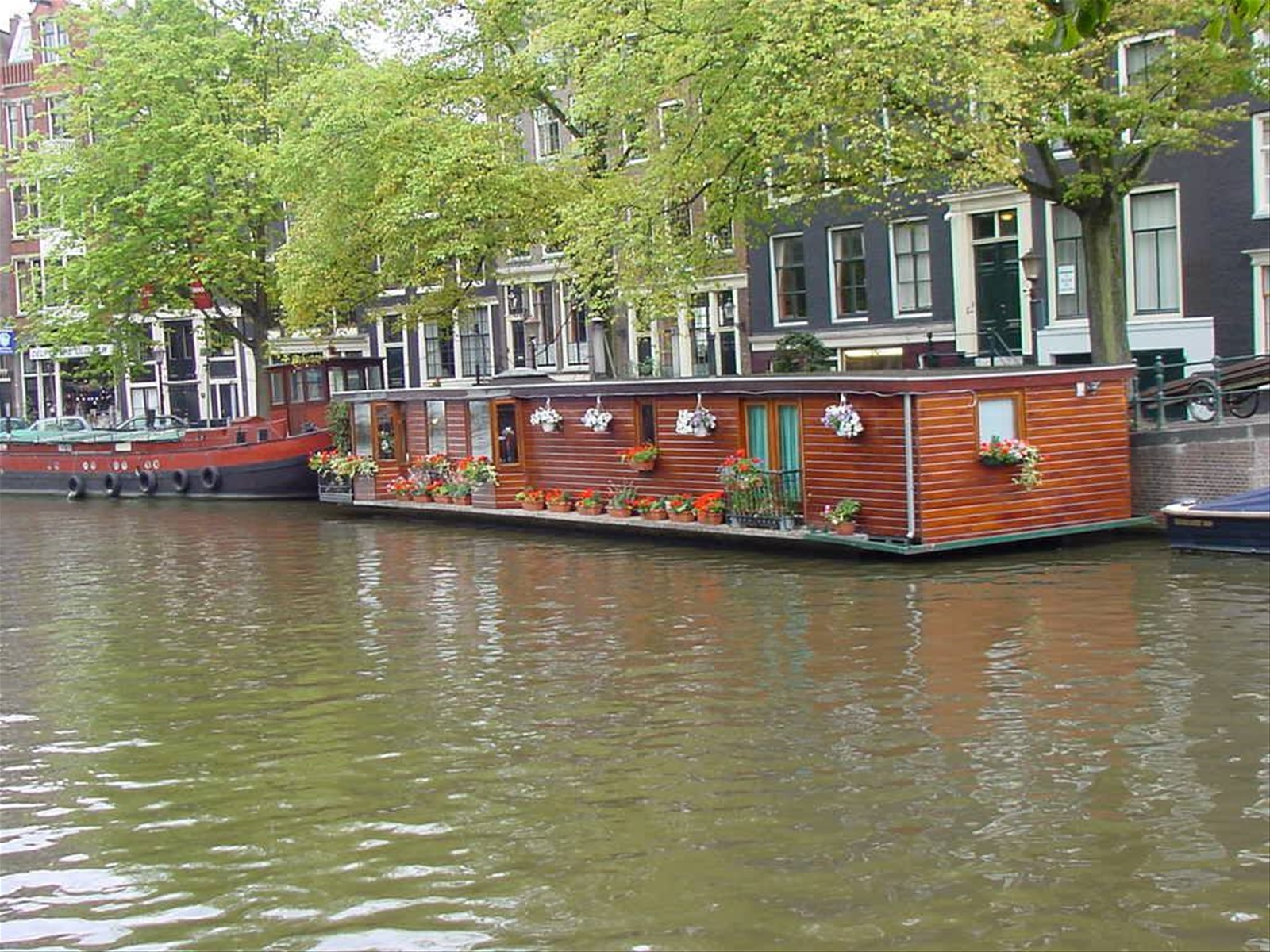 Foto di viaggio in OLANDA