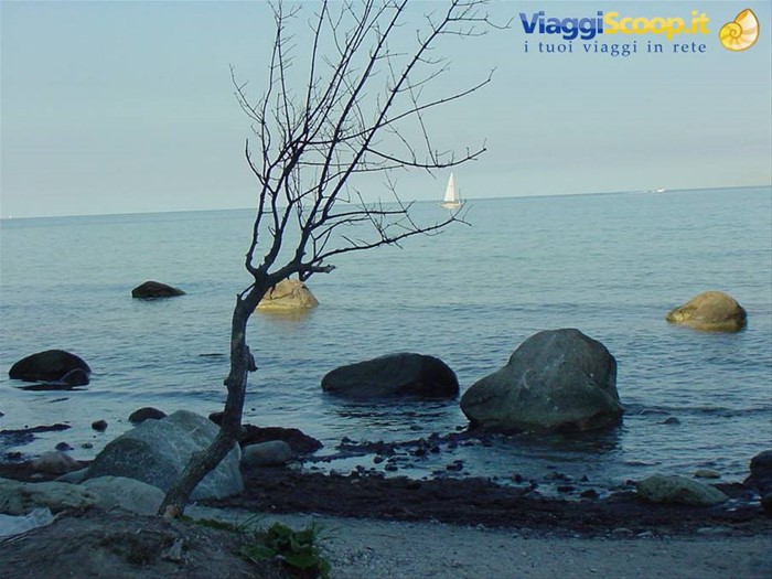 MONS KLINT
