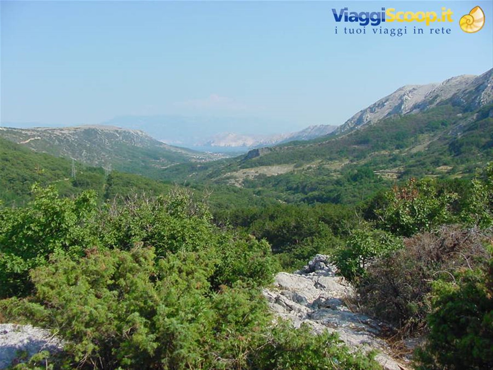 VERSO BASKA