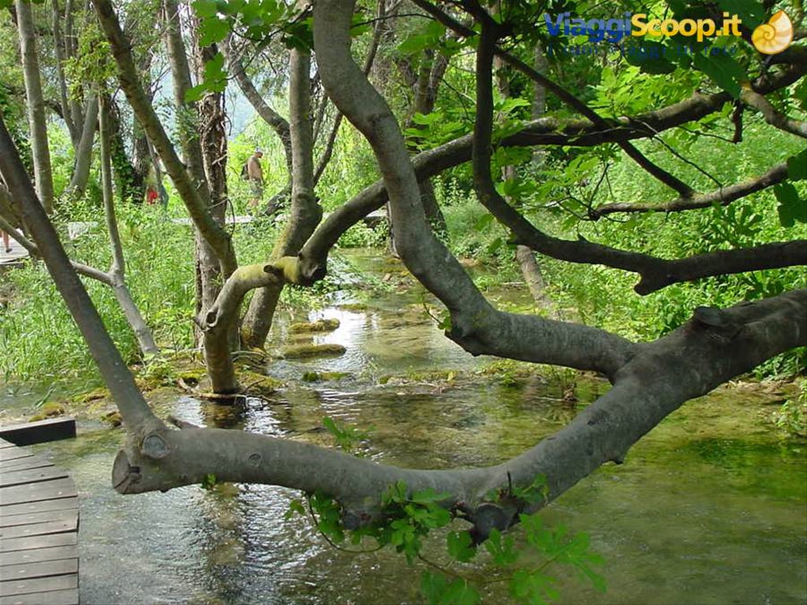 PARCO DI KRKA