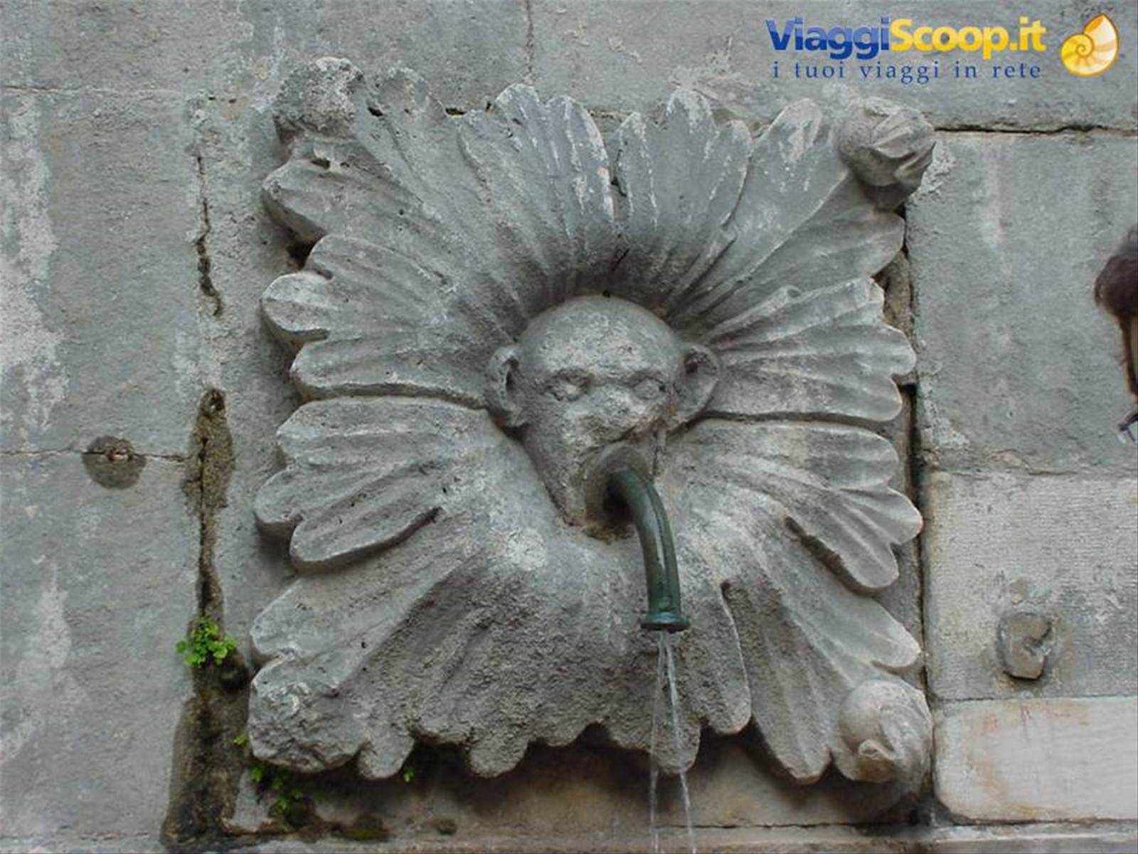 RAGUSA