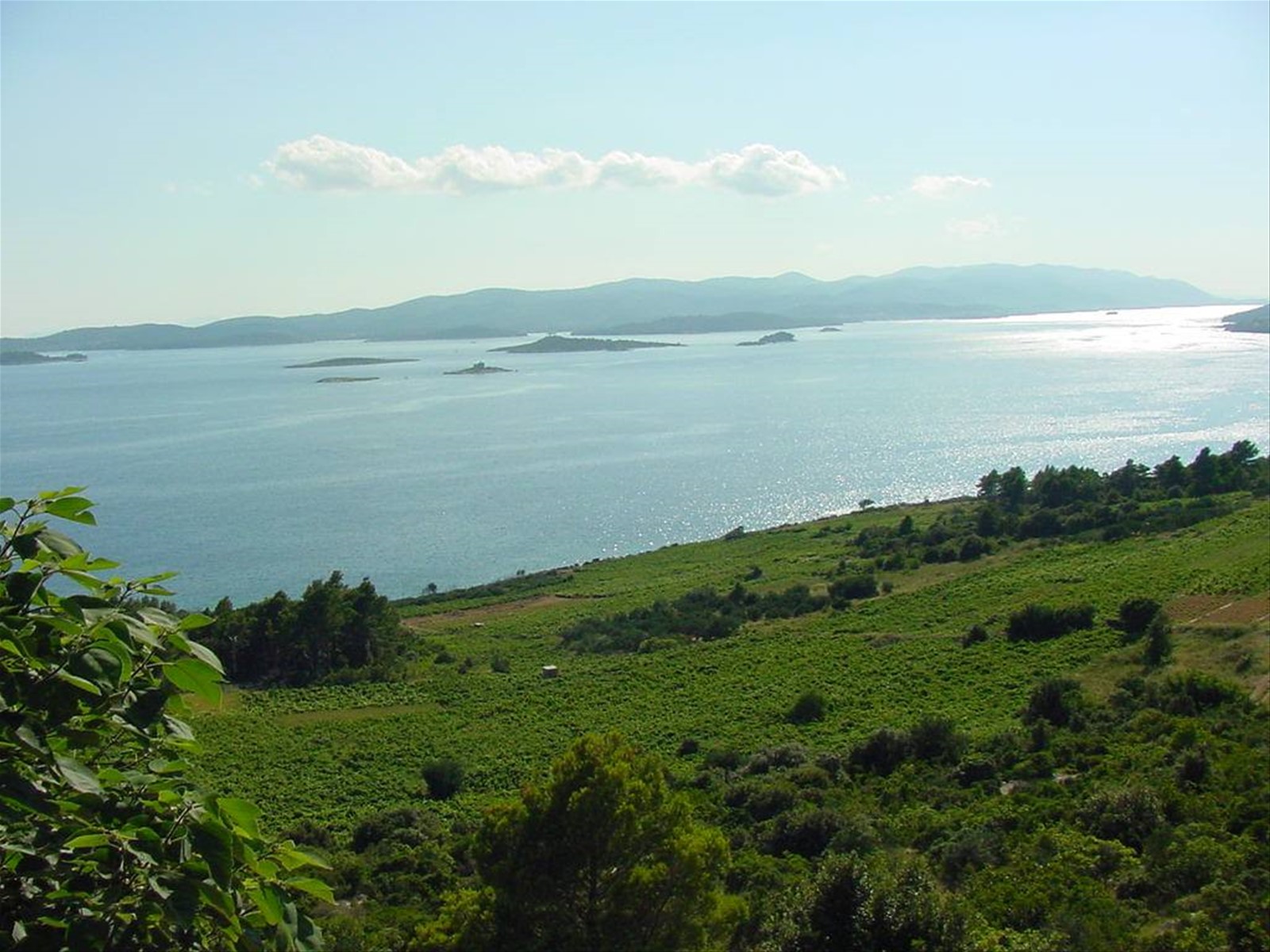 VERSO PELJESAC