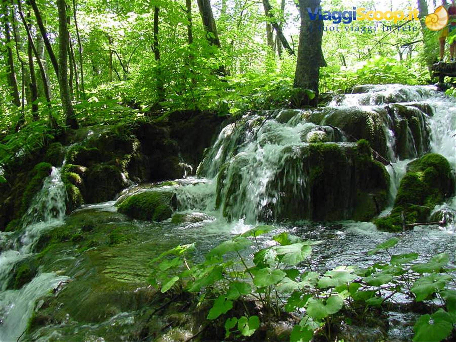 PLITVICE